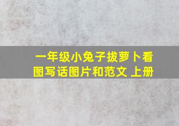 一年级小兔子拔萝卜看图写话图片和范文 上册